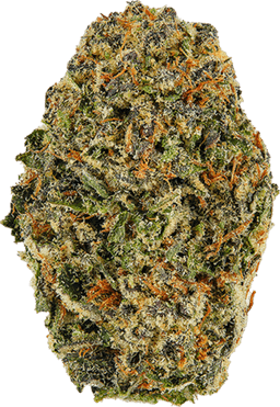 Blue Afghani