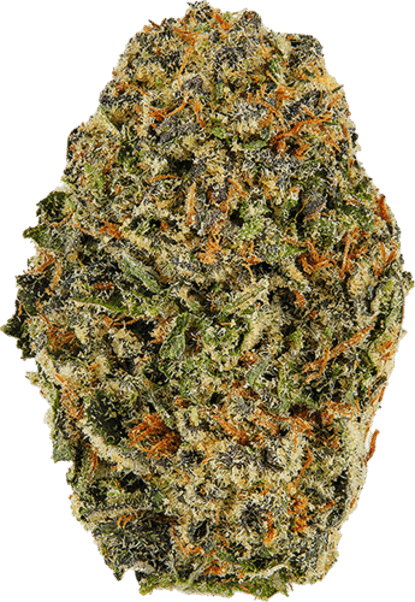Blue Afghani